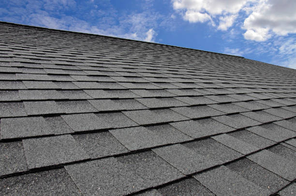 Best Metal Roofing Installation  in Eastpointe, MI