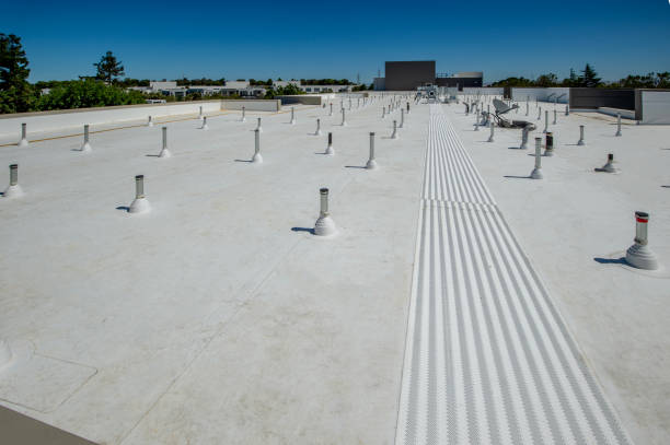 Best Skylight Installation and Repair  in Eastpointe, MI